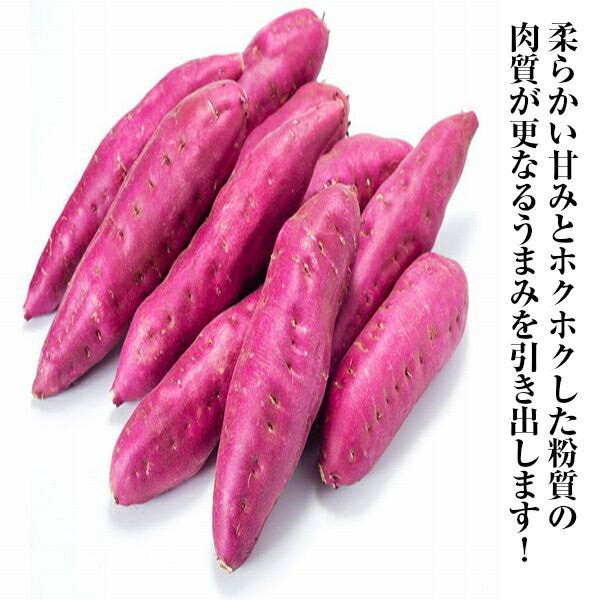 【送料無料】【徳島県産】訳あり　なると金時　里むすめ　M〜2Lサイズ　約3kg(北海道沖縄別途送料加算) 2