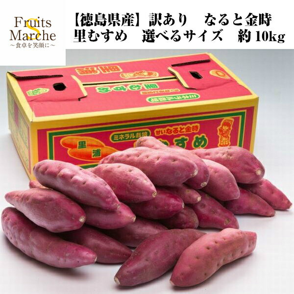 【送料無料】【徳島県産】訳あり　なると金時　里むすめ　選べるサイズ　約10kg(北海道沖縄別途送料加算)の商品画像