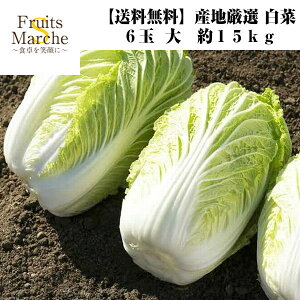 【送料無料】【産地厳選】白菜 6玉入り 大玉 約15kg(北海道沖縄別途送料加算)はくさい/ハクサイ/鍋/サラダ/キムチ/漬物/野菜/無農薬/減農薬/低農薬/豚バラ/グルメ/旬の味覚/お取り寄せ/おとなの週末/特産品/自炊/おうち時間/食品ロス/ふるさと納税/健康/栄養