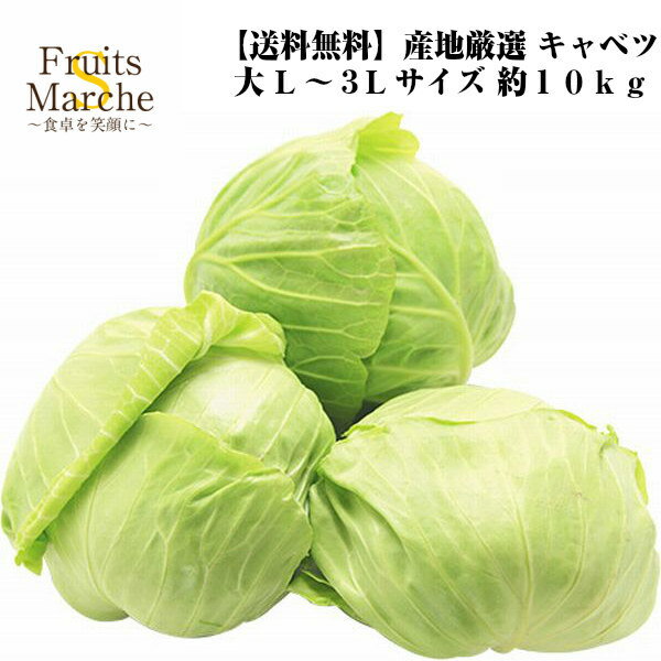 大玉キャベツ　L〜3Lサイズ　約10kg(北海道沖縄別途送料加算)