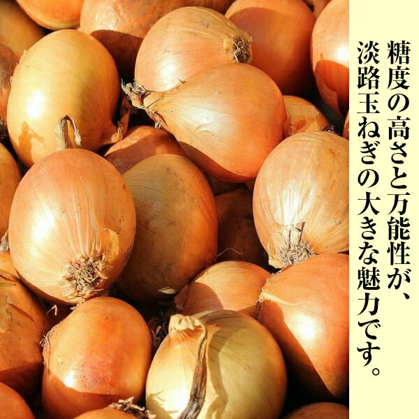 【送料無料】玉ねぎ たまねぎ 約20kg 訳あり 大きさお任せ 淡路島 玉葱 淡路島たま...