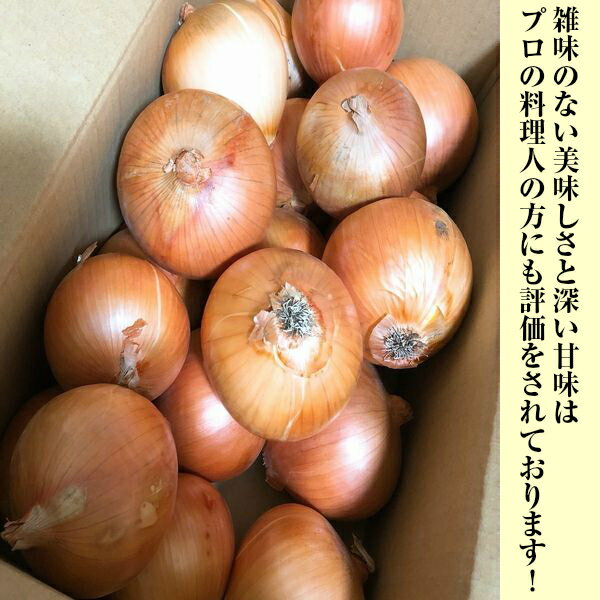 ������̵���۶̤ͤ� ���ޤͤ� ��10kg ������ �礭����Ǥ�� øϩ�� ��Ǭ øϩ�礿�ޤͤ� ʼ�˸�øϩ�绺 ����̵�� ���̳�ƻ�����츩�����������û���