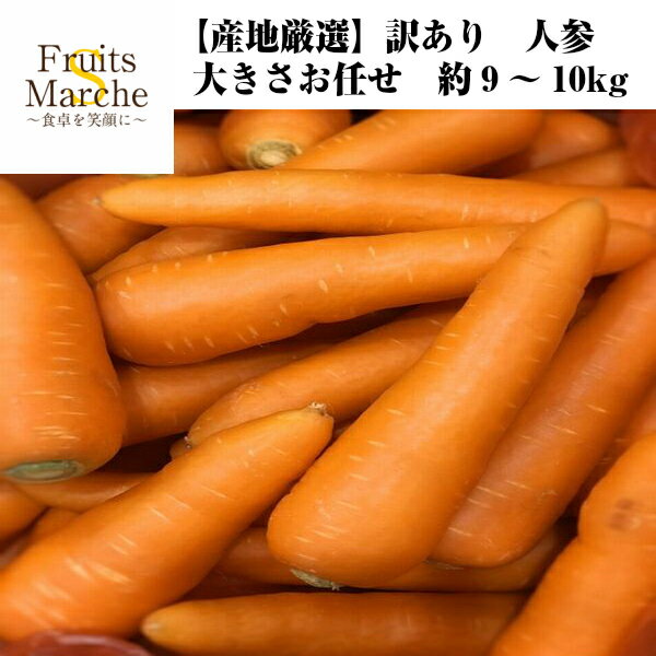 【送料無料】【産地厳選】訳あり　人参　大きさお任せ　約9〜10kg(北海道沖縄別途送料加算)