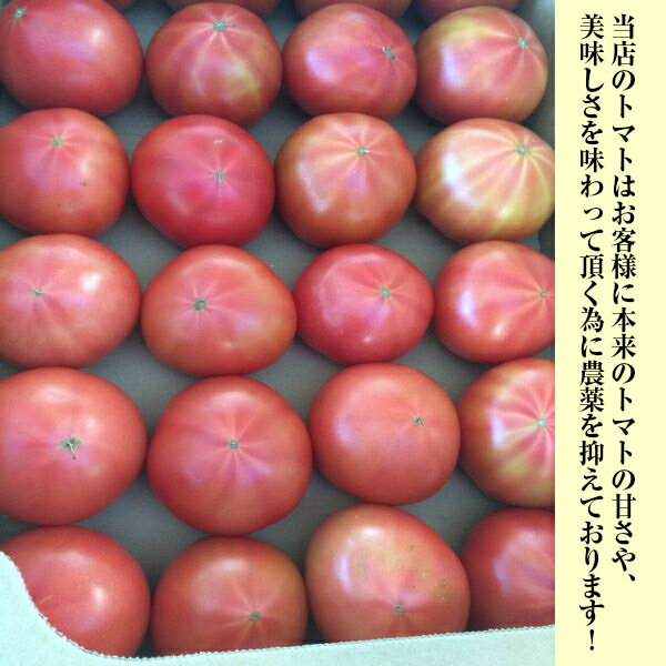 【送料無料】【西日本産】訳あり　桃太郎トマト　大きさお任せ　約4kg(北海道沖縄別途送料加算)