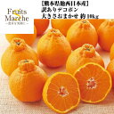 【送料無料！】デコポン 熊本県産 西日本産 10kg 訳あり 大きさお任せ 不知火 みかん 柑橘類 送料無料（北海道 沖縄県は別途送料加算）