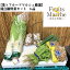 【送料無料】【菜S フルーツマルシェ厳選】満点鍋野菜セット 6品(北海道沖縄別途送料加算)野菜/やさい/ヤサイ/詰合せ/セット/西日本産/御年賀/春野菜/野菜セット/葉物野菜/詰め合わせ/野菜宅配/母の日/父の日/きのこ/ねぎ/はくさい/きくな/生しいたけ/ぶなしめじ/鍋料理
