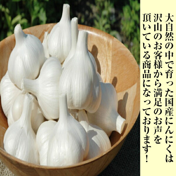 ������̵���ۡ��Ŀ������������ꡡ�񻺤ˤ�ˤ����ۥ磻��ϻ�ҡ���1kg���̳�ƻ�������������û���