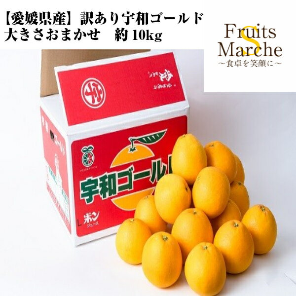 【送料無料】【愛媛県産】訳あり　宇和ゴールド　大きさお任せ　約10kg(北海道沖縄別途送料加算)