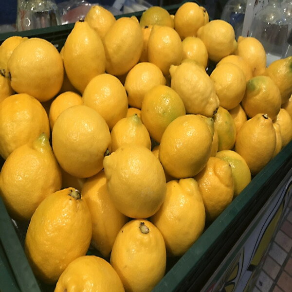 【送料無料】【和歌山県産】秀品　有田レモン　国産レモン　大きさお任せ　約5kg(北海道沖縄別途送料加算)れもん/檸檬/国産品/ジュース/お中元/敬老の日/スムージー/父の日/母の日/有田/れもん／レモン汁/ジャム/マーマレード/果物/フルーツ/