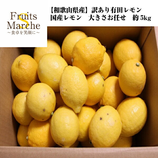 【送料無料】【和歌山県産】訳あり　有田レモン　国産レモン　大きさお任せ　約5kg(北海道沖縄別途送料加算)れもん/檸檬/国産品/ジュース/お中元/敬老の日/スムージー/父の日/母の日/有田/れもん／レモン汁/ジャム/マーマレード/果物/フルーツ/