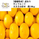 訳あり　サンフルーツ　大きさおまかせ　約10kg(北海道沖縄別途送料加算)みかん/蜜柑/訳有/訳あり/訳アリ/ワケあり/ミカン/新甘夏/田の浦オレンジ/果物/フルーツ/デザート/愛媛/柑橘/母の日/野菜宅配/