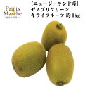 【送料無料】【ニュージーランド産】ゼスプリ グリーンキウイフルーツ 約1kg(北海道沖縄別途送料加算)