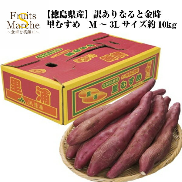 【送料無料】【徳島県産】訳あり　なると金時　里むすめ　M〜3Lサイズ　約10kg(北海道沖縄別途送料加算)