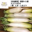 【送料無料】【産地厳選】朝採れ大根　大きさお任せ　1箱　6本〜8本入り(北海道沖縄別途送料加算)