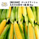 【送料無料】【西日本産】ゴールドラッシュ 1箱 約4kg(北海道沖縄別途送料加算)