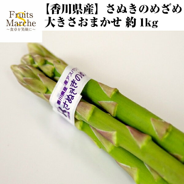 【送料無料】【香川県産】さぬきのめざめ 大きさおまかせ 約1kg 北海道沖縄別途送料加算 