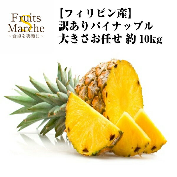 【送料無料】【フィリピン産】パイナップル　大きさお任せ　約10kg(北海道沖縄離島等別途送料加算)