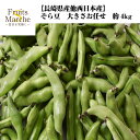 【10%OFF】グリーンレンティル 1kg / 1000gGreen Lentil 緑レンズ豆 皮付き ヒラマメ マスールダール 乾燥豆