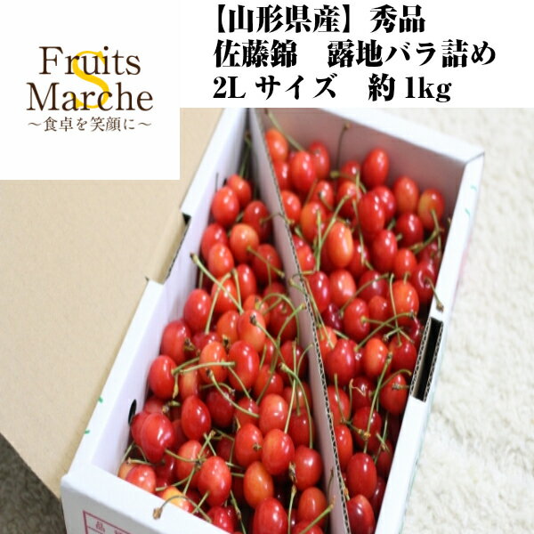 乐天商城 - 【送料無料】【山形県産】秀品　佐藤錦　露地バラ詰め　2Lサイズ　約1kg(北海道沖縄別途送料加算)