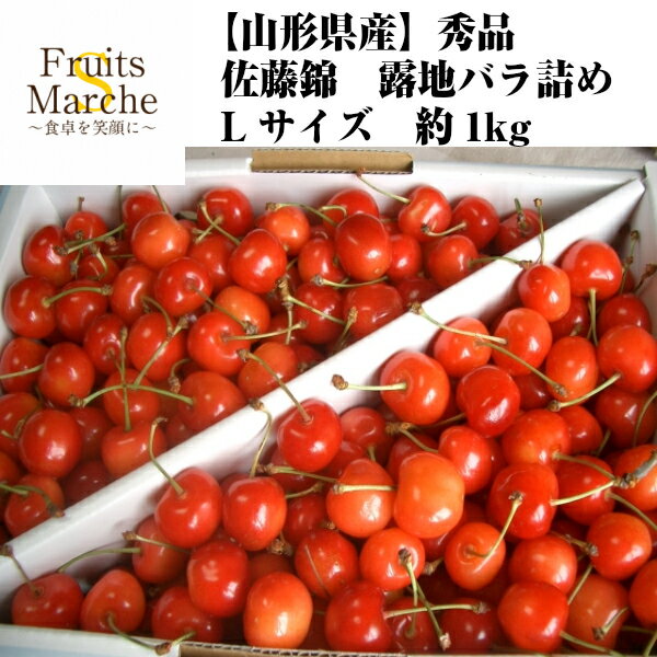 【送料無料】【山形県産】秀品　佐藤錦　露地バラ詰め　Lサイズ　約1kg(北海道沖縄...