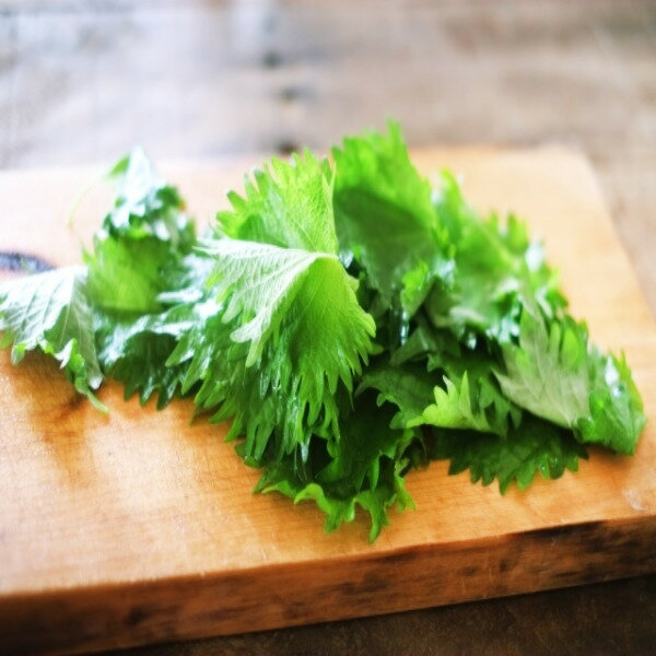 �������̡ۡڰ��θ��������ա�2L������ 1�ѥå� 100���� ��100g ����ڵͤ��碌���åȤ�Ʊ��������̵����