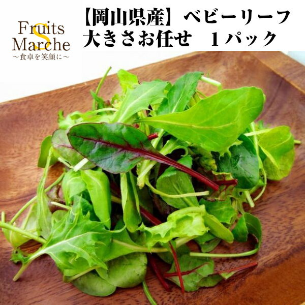 【送料別】【岡山県産】ベビーリーフ 大きさお任せ 1パック 【野菜詰め合わせセットと同梱で送料無料】