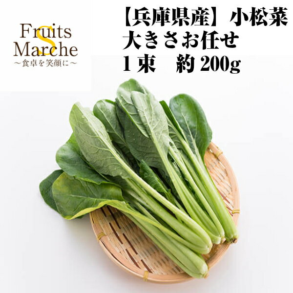 【送料別】【兵庫県産】小松菜 大きさお任せ　1束 約200g【野菜詰め合わせセットと同梱で送料無料】