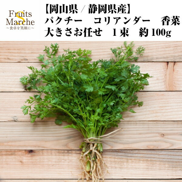 【送料別】【岡山県/静岡県産】パクチーコリアンダー 香菜 大きさお任せ 1束 約100g 【野菜詰め ...