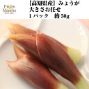 【送料別】【高知県産】みょうが　大きさお任せ　1パック　約50g　【野菜詰め合わせセットと同梱で送料無料】