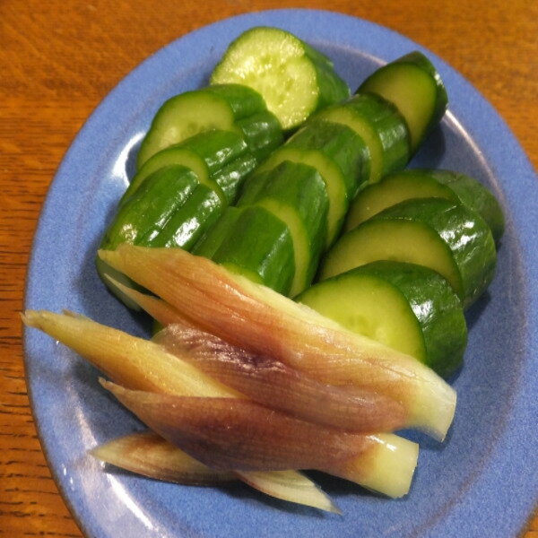 【送料別】【高知県産】みょうが　大きさお任せ　1パック　約50g　【野菜詰め合わせセットと同梱で送料無料】