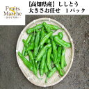 【送料別】【高知県産】ししとう 大きさお任せ 1パック 【野菜詰め合わせセットと同梱で送料無料】