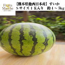 【送料無料】【熊本県他西日本産】スイカ Sサイズ 1玉入り ...