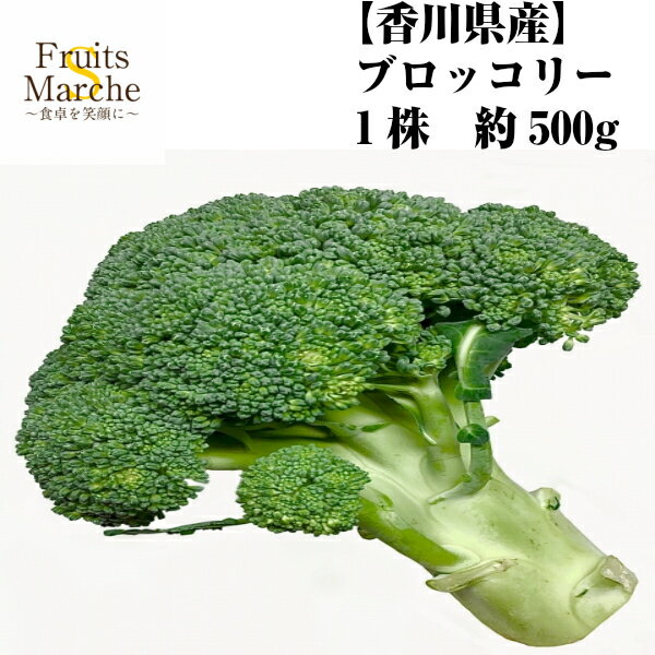 【送料別】【香川県産】ブロッコリー 1株 約500g 【野菜詰め合わせセットと同梱で送料無料】