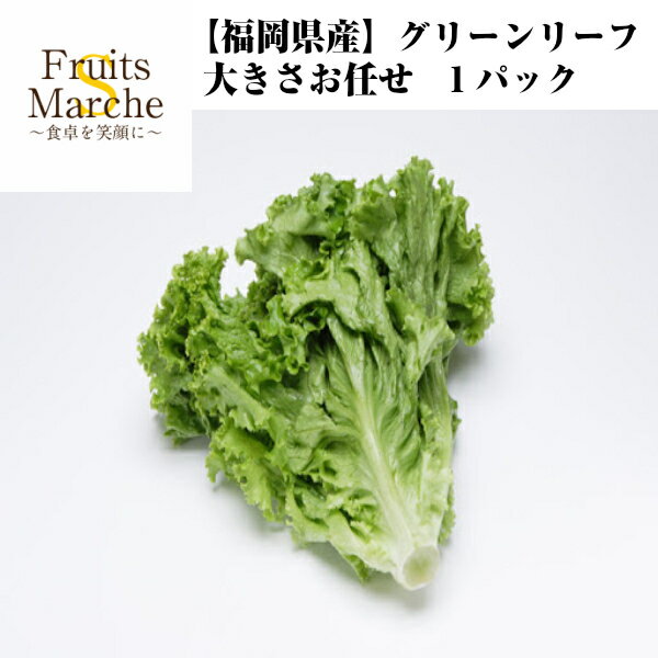 【送料別】【福岡県産】グリーンリーフ 1パック 【野菜詰め合わせセットと同梱で送料無料】