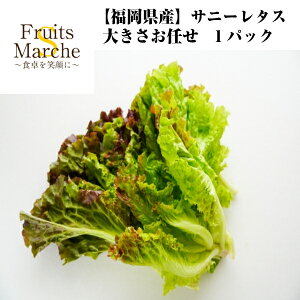 【送料別】【福岡県産】サニーレタス　1パック 【野菜詰め合わせセットと同梱で送料無料】