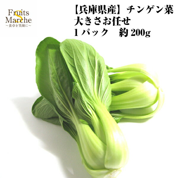 【送料別】【兵庫県産】チンゲン菜　大きさお任せ　1パック　約200g　【野菜詰め合わせセットと同梱で送料無料】