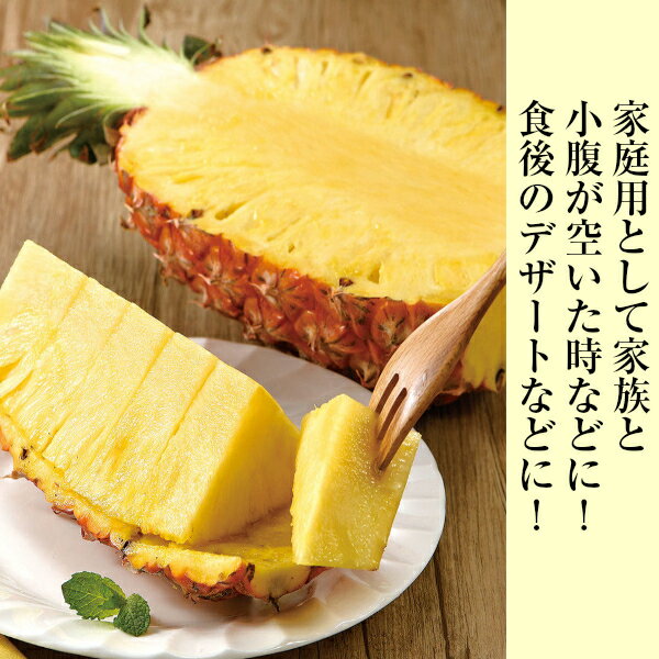 ������̵���ۡڥե���ԥ󻺡ۥѥ��ʥåץ롡�礭����Ǥ������10kg(�̳�ƻ����Υ�������������û�)