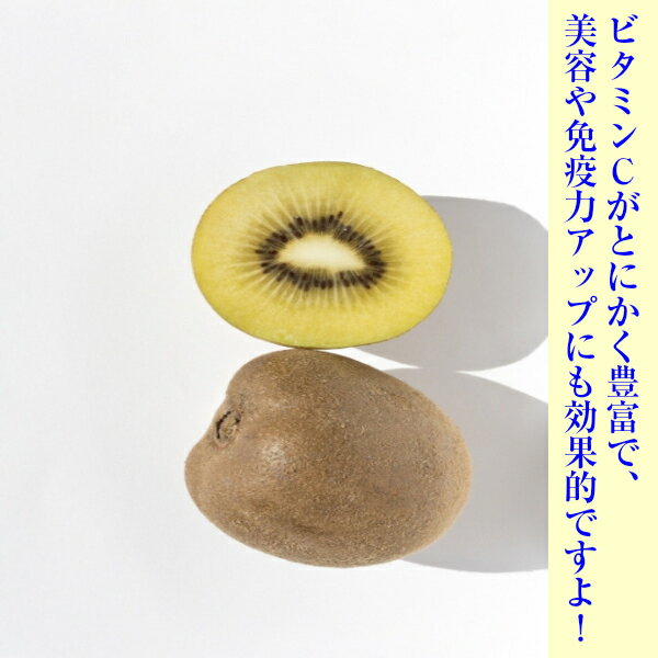 ������̵���ۡڥ˥塼�������ɻ��ۥ����ץ� ���꡼�󥭥����ե롼�� ��3kg(�̳�ƻ�������������û�)