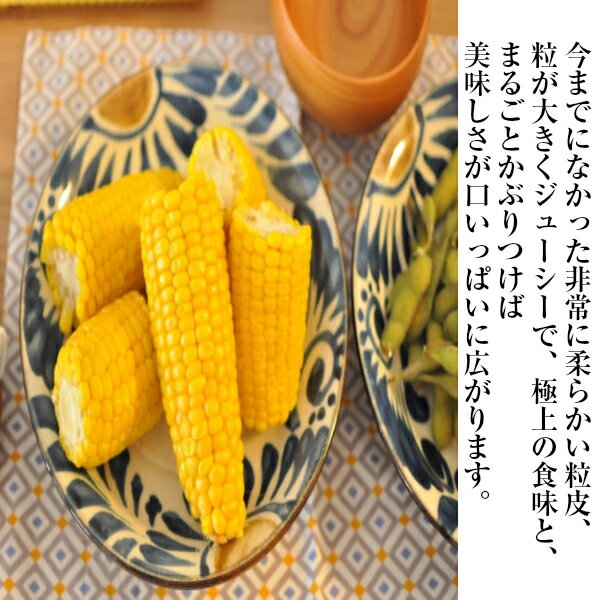 【送料無料】【産地厳選】とうもろこし スイートコーン　1箱　約4kg (北海道沖縄別...
