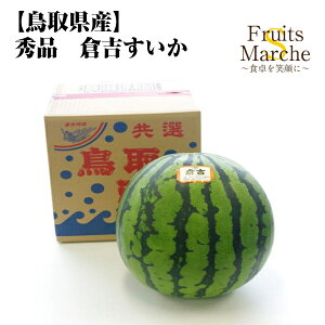 【送料無料】【鳥取県産】秀品　倉吉すいか　2Lサイズ　1玉　約7kg(北海道沖縄別途送料加算)