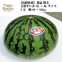 【送料無料】【鳥取県産】秀品 大栄すいか 特大 5L~6Lサイズ 1玉 約10~12kg(北海道沖縄別途送料加算)