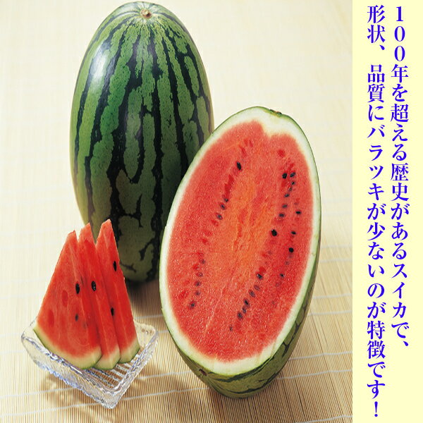 【送料無料】【鳥取県産】秀品　大栄すいか　　2Lサイズ　1玉　約6〜7kg(北海道沖...
