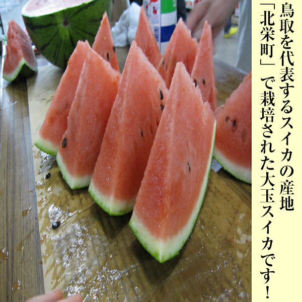 【送料無料】【鳥取県産】秀品　大栄すいか　　2Lサイズ　1玉　約6〜7kg(北海道沖...