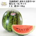 【送料無料】【鳥取県産】訳あり 大栄すいか 特大 5L~6Lサイズ 1玉 約10~12kg(北海道沖縄別途送料加算)
