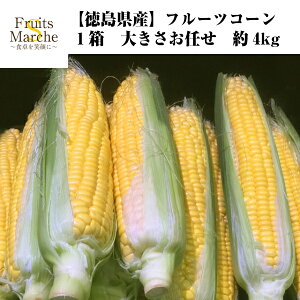 【送料無料】【徳島県産】フルーツコーン　1箱　大きさお任せ　約4kg(北海道沖縄別途送料加算)