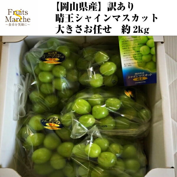 【送料無料】【岡山県産】訳あり　晴王(はれおう)シャインマスカット　大きさおまかせ　約2kg(北海道沖縄別途送料加算)のサムネイル