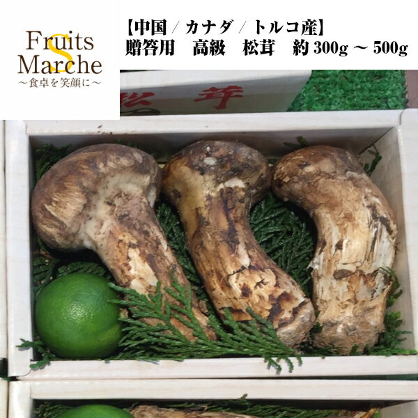 【クール便送料無料】【中国/カナダ/トルコ産】贈答用　高級　松茸　約300g〜500g(北海道沖縄別途送料加算)まいたけ/きのこ/キノコ/椎茸/マツタケ/マツタケオール/最高峰/トリュフ/香りまつたけ/味しめじ/お吸い物/松茸ごはん/汁物/焼き/煮物/冬の味覚/冬のご当地グルメ