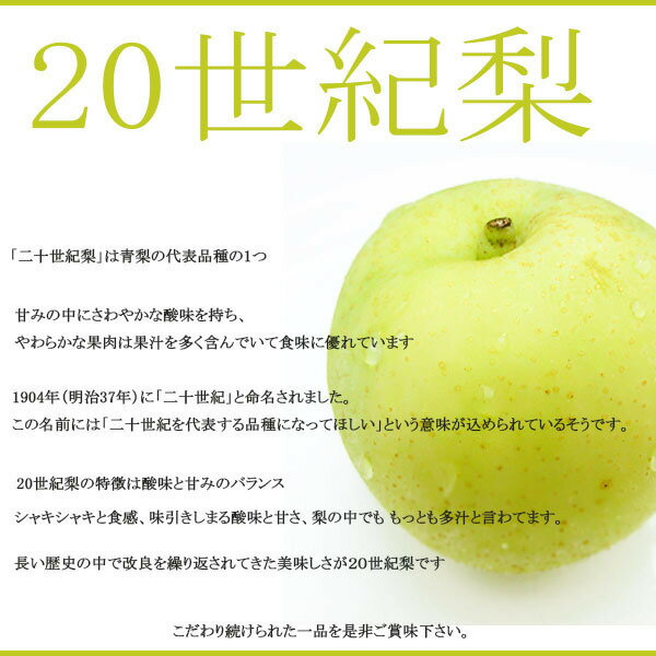 【送料無料】【産地厳選】秀品　20世紀梨　大きさおまかせ　約5kg(北海道沖縄別途送料加算)