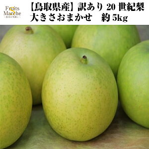 【送料無料】【鳥取県産】 訳あり　20世紀梨　大きさおまかせ　約5kg(北海道沖縄別途送料加算)