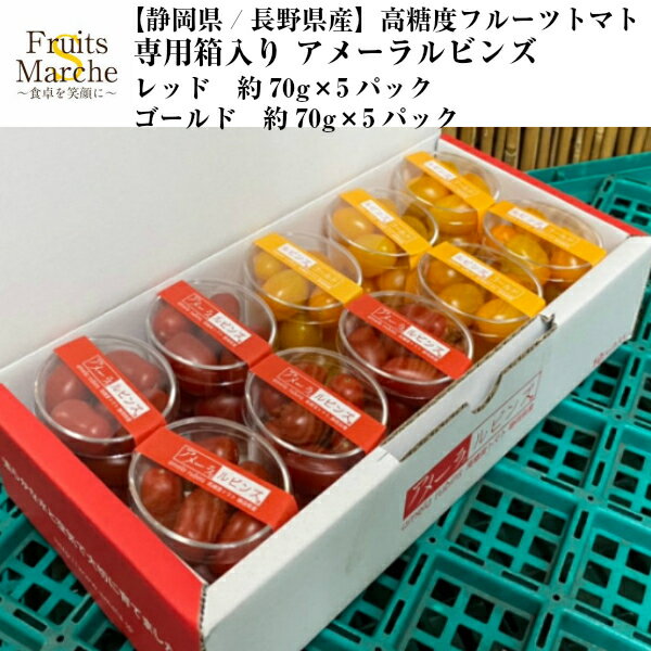 【送料無料】【静岡県/長野県産】フルーツトマト　アメーラルビンズ　専用箱入り　レッド/ゴールド　約70g×5パック(北海道沖縄別途送料加算)のサムネイル